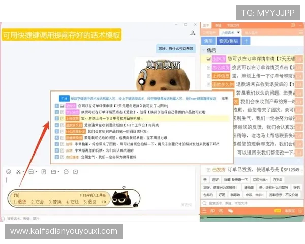 凯发一触即发中国区官方网站的客服支持与常见问题解决方案详解